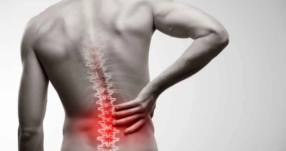 Computer Users and Low Back Pain