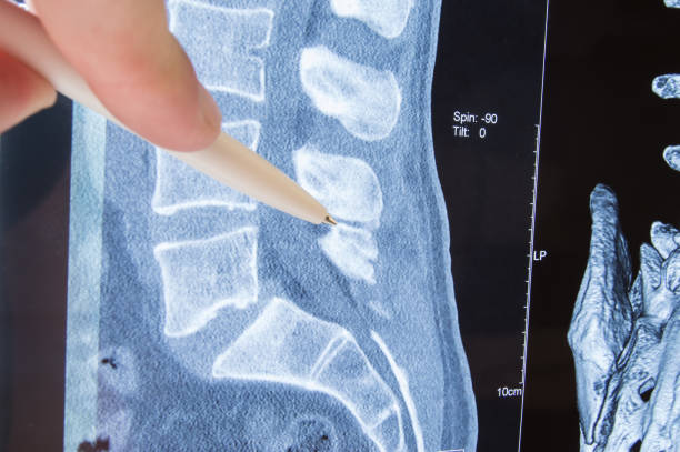 istockphoto 911432246 612x612 1