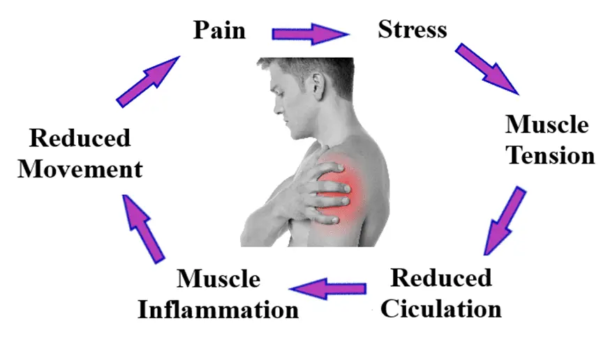Stress and Muscle Tightness
