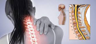 Stress to Muscle Tightness cycle