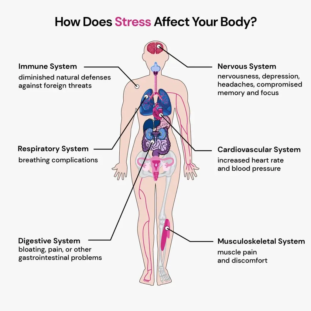 From Stress to Muscle Tightness: Understanding the Cycle and How to Break It for Mind relaxation 2 stress